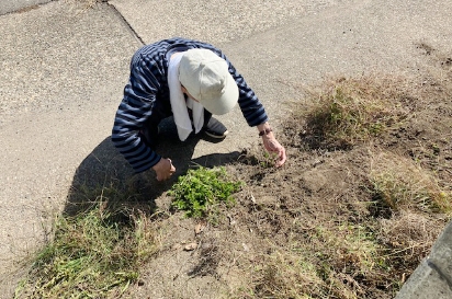 訪問リハビリテーション